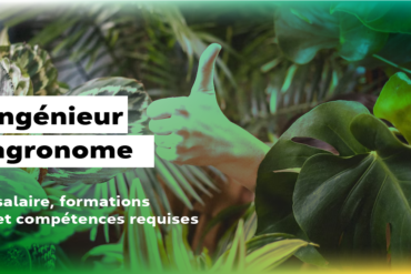 Fiche métier ingénieur agronome salaire, formation et compétences