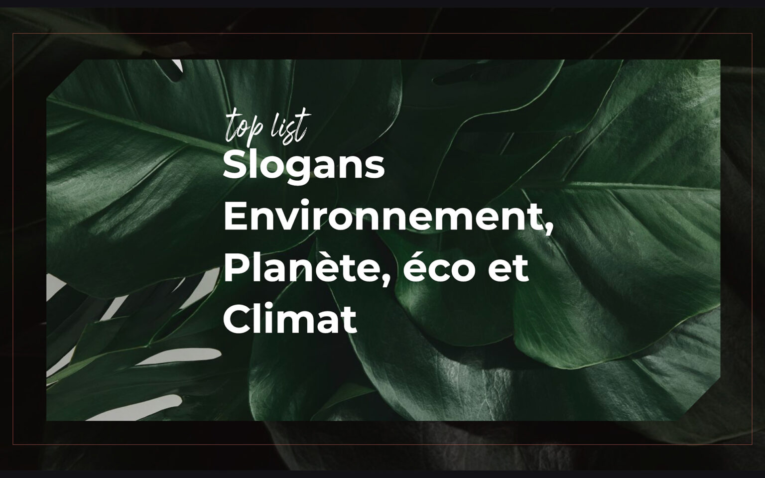 Eco tourism slogan