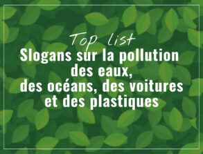 Meilleurs Slogans sur la Pollution qui Motivent à Agir (eaux, océans, voitures & plastiques)