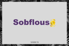 Sobflous, Paiement et achat en ligne en Tunisie : Wiki, Contact & Informations